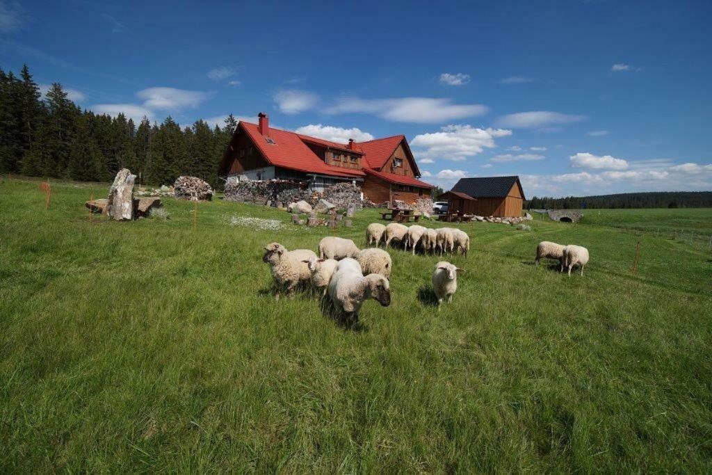 Ubytování u Vydřího mostu Horska Kvilda Exteriér fotografie