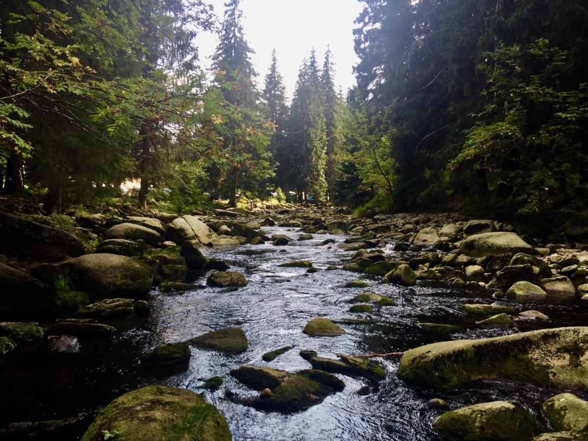 Ubytování u Vydřího mostu Horska Kvilda Exteriér fotografie