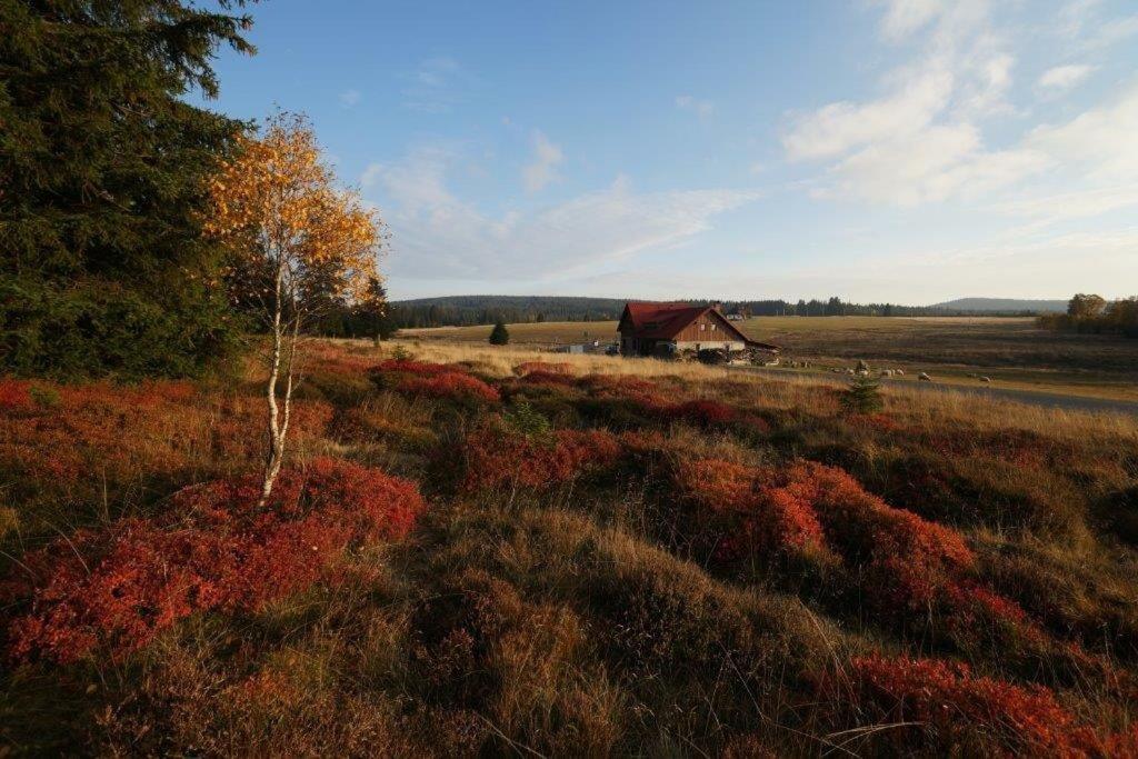 Ubytování u Vydřího mostu Horska Kvilda Exteriér fotografie