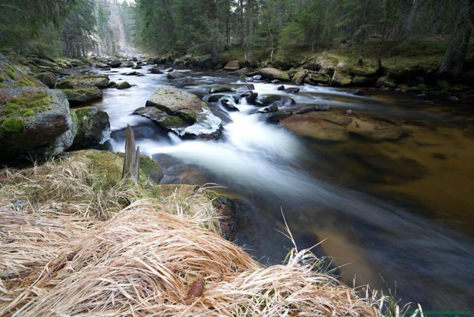 Ubytování u Vydřího mostu Horska Kvilda Exteriér fotografie